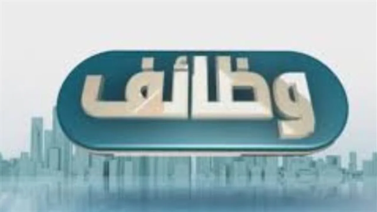 تقديم 100 فرصة عمل.. ميناء دمياط يعلن عن حاجته لسائقين